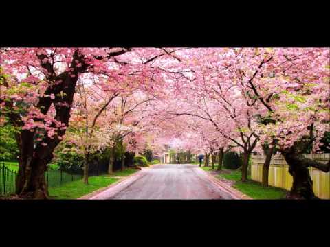 download lagu mp3 mp4 Tenkuu No Shiro, download lagu Tenkuu No Shiro gratis, unduh video klip Tenkuu No Shiro