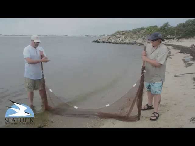 Seining for Tropical Fish with Seatuck