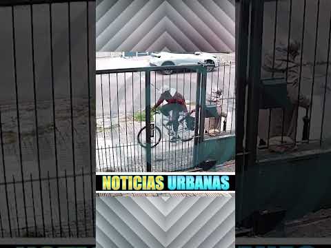 Asalto a anciana en plena calle #noticias #robo #seguridad