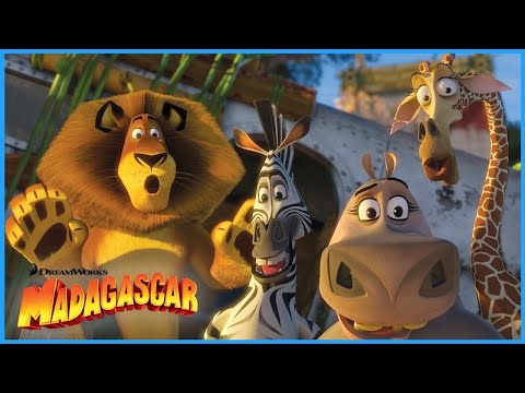 Ultimate Madagascar 2 Moments!😲🌟 | DreamWorks Madagascar