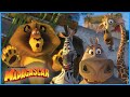 Ultimate Madagascar 2 Moments DreamWorks Madagascar