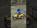 50cc Suzuki Quad Bike Suzuki Quad Farming