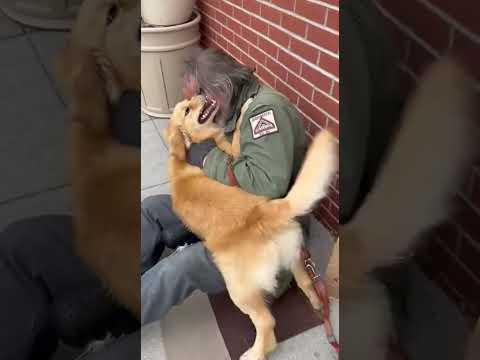 The Leash Broke…Then the Homeless Man Smiled 🐾💔