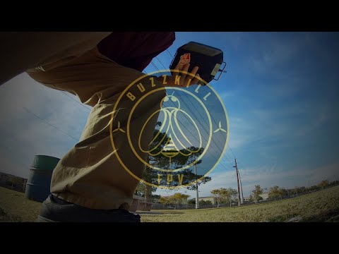 freestyle-run-with-new-tbs-frame