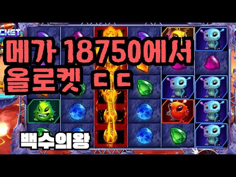 [슬롯][제보영상][닉네임:백수의왕] 로켓 981배