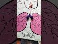 Lungs Project Made By Kanishka Video Video Kanishkadrawing123