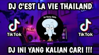 Download lagu C'est La Vie Slowed Reverb Tiktok version trending song mp3
