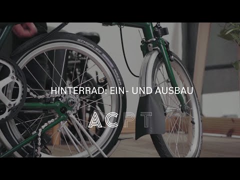 Hinterrad: Ein- und Ausbau