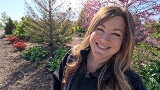 Treating Iron Deficient Plants, Edging Grass & Planting 2 Types of Perennial! 🌿🌾 // Garden Answer