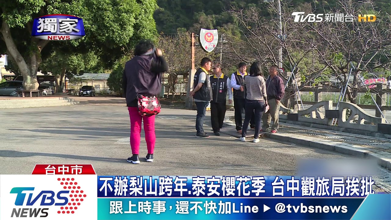 泰安櫻花、梨山跨年都不辦 台中觀旅局挨批