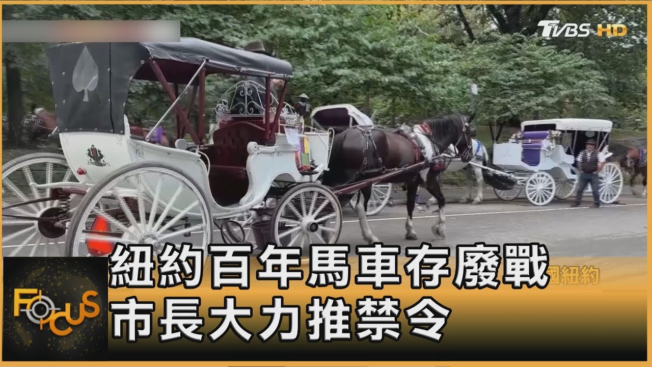 紐約百年馬車存廢戰 AI重算東非動物大遷徙