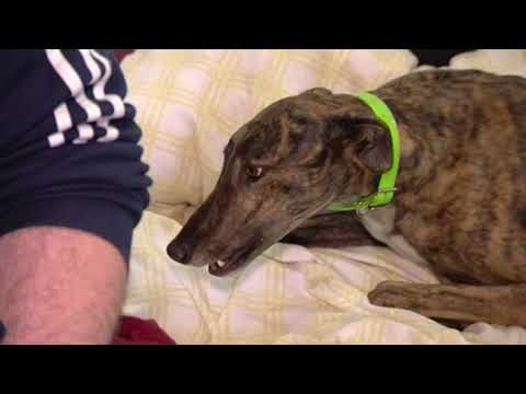 KEVIN HUTTON ON BALLYMAC OSBY