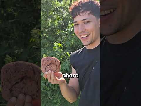 Este celular hizo temblar a Apple 👀