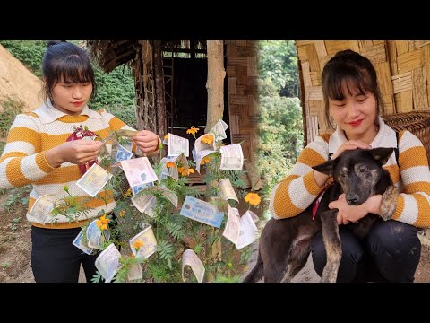 IS Spending Money on a Dog Companion WORTH IT? | Tiểu Liễu-17 year old
