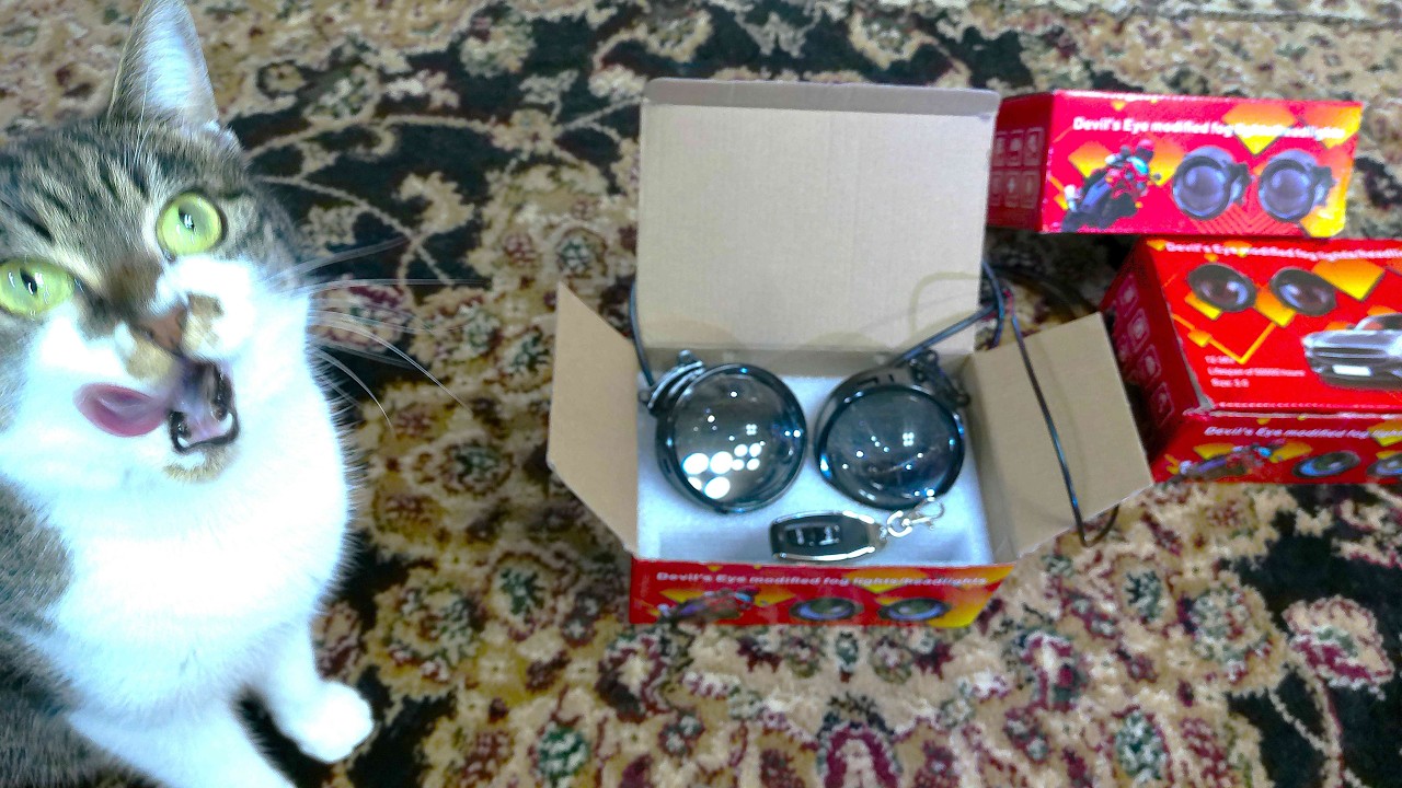 Devil's Eyes.    Jam #2   Pandora Cat.