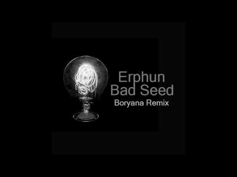 Erphun - Bad Seed (Boryana Remix)