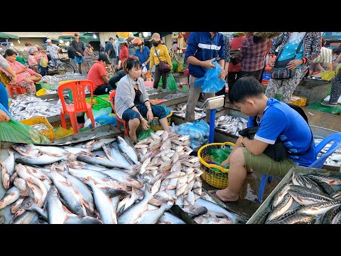 Amazing Wet Market Scenes - Fish Market, Food Market & People Activities |TourWithPapa