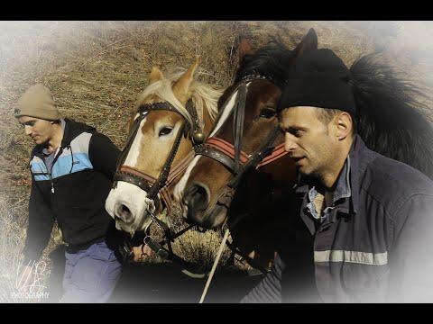 IN TINUTUL MOMARLANILOR URMASII DACILOR LIBERI  DUPA FAN CU IONEL DOBRE SI IONUT JITEA!