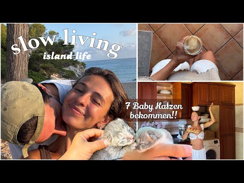 Street cat has babies!! Bad mood & island life - Mallorca Diaries