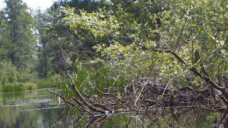 Purple Schulz - Schweigen