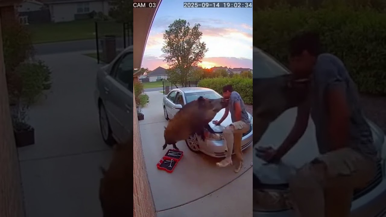 He survived 🤲🏼 #attack