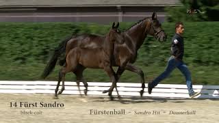 Video von Fürst Sandro