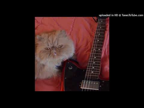 Video thumbnail for Don’t Come Around Here No More (Please)