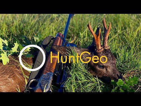 Jagd auf den schwarzen Rehbock - Hunting the black roebuck