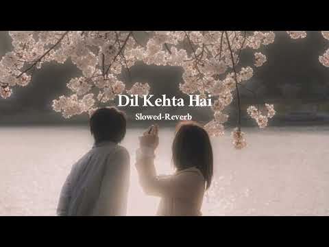 Dil Kehta Hai || Hindi Song ~ Slowed-Reverb Lo-fi Song