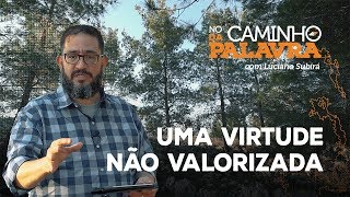 [NCDP] UMA VIRTUDE NÃO VALORIZADA - Luciano Subirá