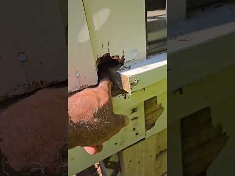 Deck Restoration in Duluth, GA