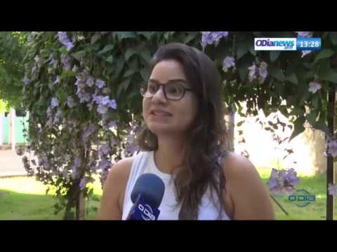 O DIA NEWS 16 07  PeriÌodo de feÌrias aumenta o abandono de animais em Teresina
