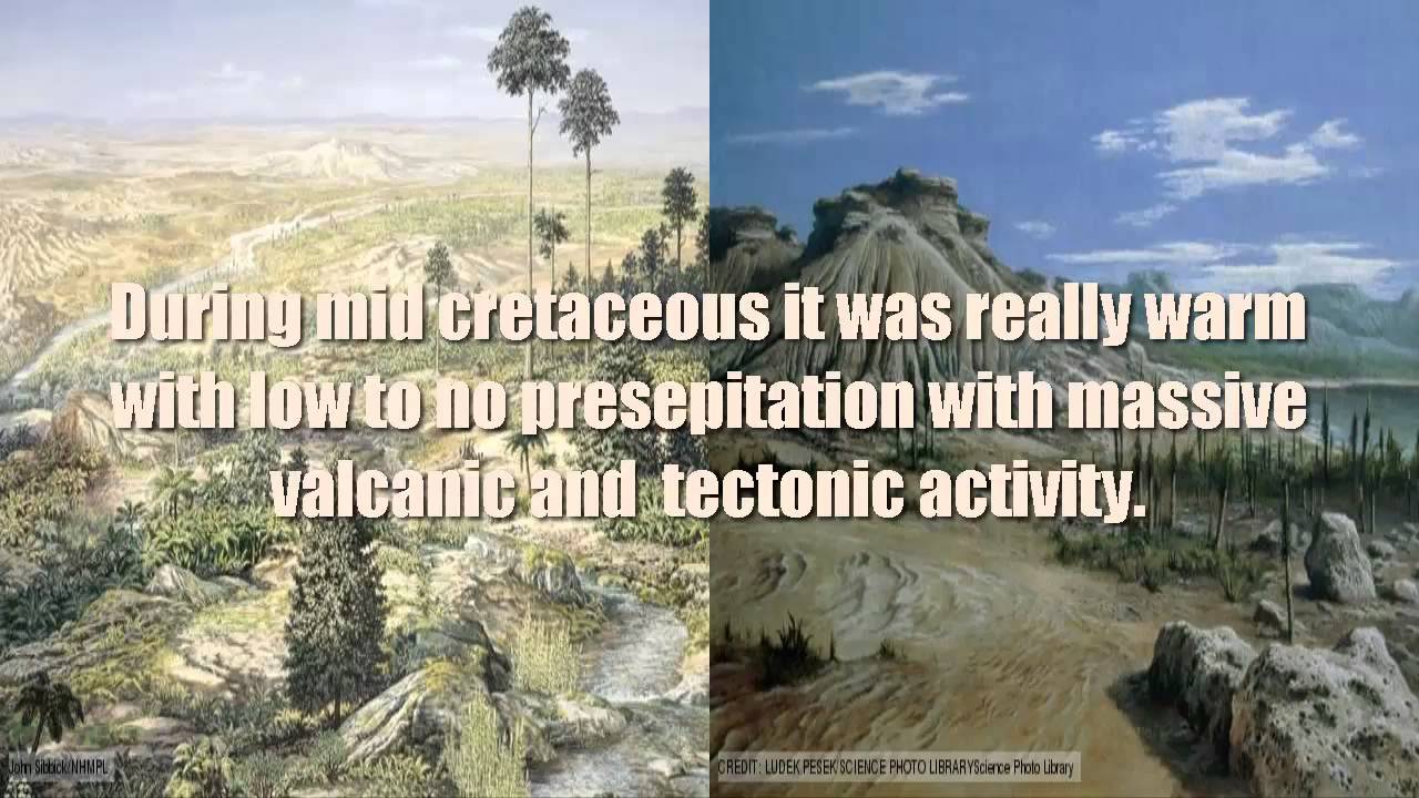 8th Grade Cretaceous Period