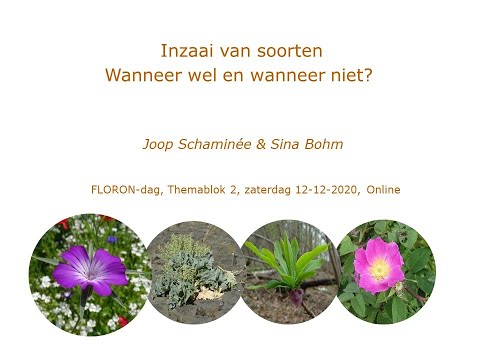 Inzaai van soorten, wanneer wel en wanneer niet? Joop Schaminée FLORONdag 2020