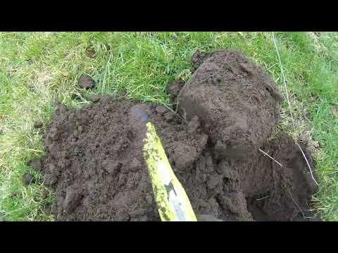 Can i class it as finding gold again. Metal Detecting Finds UK (74)