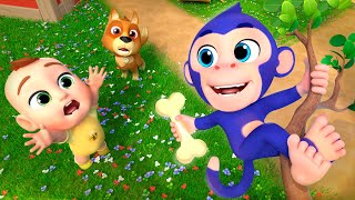 Download lagu Eeny Meeny Miny Moe with Animals | Newborn Baby Songs & Nursery Rhymes mp3 Download lagu Eeny Meeny Miny Moe with Animals | Newborn Baby Songs & Nursery Rhymes mp3