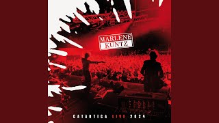 1° 2° 3° (Live 2024)