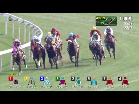 2019 Chairman's Trophy International Group 2 1600m