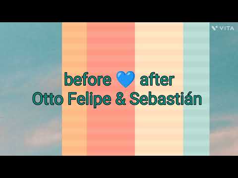 Memorie gatos pequeños , Sebastián corazón y Otto Felipe 