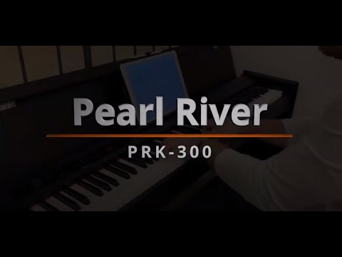 Цифровое фортепиано Pearl River PRK300 WH