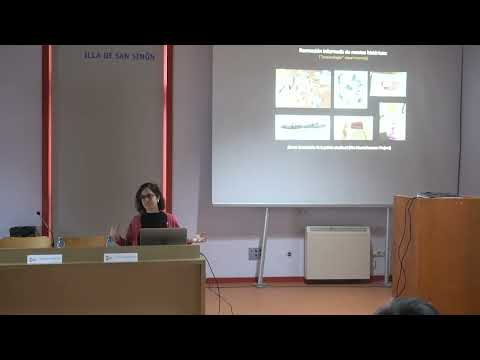 O que contan as cores: an�lise de materiais pict�ricos para investigar a produci�n e conservaci�n de manuscritos iluminados