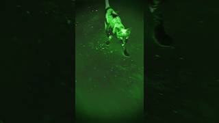 Download lagu 👽😱😱😱#bhootiya cat#cat #bhoot #ghost #viral #scary #ytshorts #shorts mp3