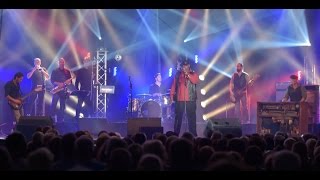 Brian and the Bluestorm- Suzie_Q