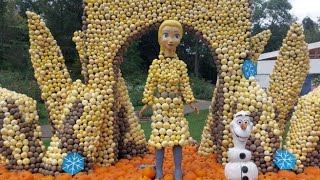 PUMPKIN'S FESTIVAL LUDWIGSBURG THE LARGEST PUMKIN FESTIVAL GERMANY 🇩🇪💖