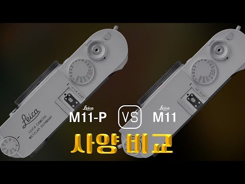 Leica M11-P �ٵ�