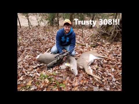 Hornady American Whitetail ammo review part 2 and RANT!!!