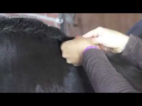 HOW TO PLAIT MANE OF OUR HORSES/CÓMO TRENZAMOS NUESTROS CABALLOS