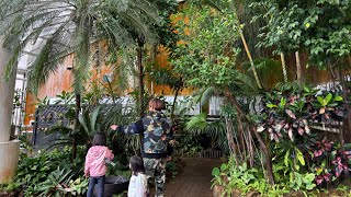 苫小牧市のサンガーデンと科学センターに行きました🪴