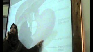 Dr.Dalia - Academic Support - 18/12