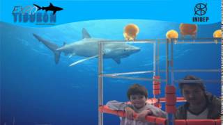 DIA 3 Expo Tiburon54